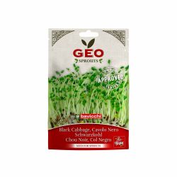 Sementes de couve preta para germinação orgânica - Bavicchi GEO