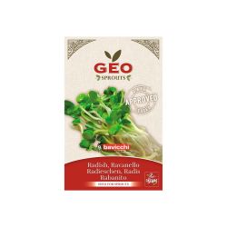 Sementes de rábano Daikon para germinar ecológicas - Bavicchi GEO