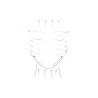 Rodillo massageador facial de jade verde - Zen Arome
