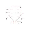 Gua Sha de quartzo rosa - Zen Arome