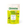 Sementes de girassol para germinar ecológicas