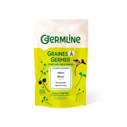 Sementes de rúcula para germinar ecológicas - Germ'line