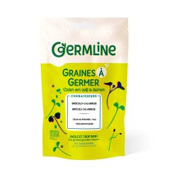 Sementes de brócolos calabrese para germinar, ecológicas