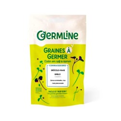 Semillas de br  coli raab para germinar  ecol  gicas