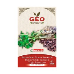 Sementes de trigo sarraceno para germinar biológicas - Bavicchi GEO