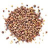 Mistura de sementes para germinar ecológicas - Sonnentor