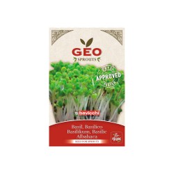 Sementes de manjericão para germinação ecológica - Bavicchi Geo