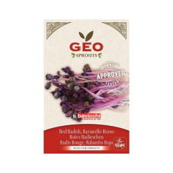 Sementes de rabanete vermelho para germinar biológicas - Bavicchi GEO