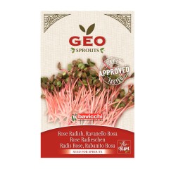Sementes de rábano rosa para germinar ecológicas - Bavicchi GEO