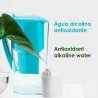 Jarra Alkanatur filtradora de água com filtro de coco