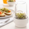 Tarro de germinar com suporte de cerâmica - Kilner