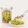 Tarro de germinar com suporte de cerâmica - Kilner