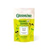 Sementes de couve-roxa para germinar ecológicas