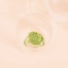 Té Matcha ecológico, 80 g - Matcha & Co