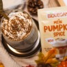 Pumpkin spice, mistura de especiarias orgânicas para abóbora - Biovegan