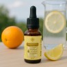 Vitamina D3 + K2, 500UI en gotas, 30 ml - OFM