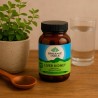 Fórmula ayurvédica para fígado e rim, ecológica, em cápsulas - Organic India