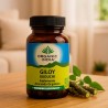 Giloy/Guduchi, ecológico, en cápsulas - Organic India
