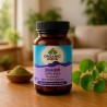 Brahmi Gotu Kola, ecológico, em cápsulas - Organic India