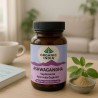 Ashwagandha ecológica, em cápsulas - Organic India