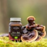 Mico Rei ecológico, em cápsulas - Hifas da Terra