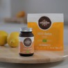 Hifas Detox ecológico, en cápsulas - Hifas da Terra