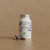 Bio Intestin ecológico, 60 cápsulas - Hifas da Terra