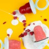 Molde de silicone platina para gelados, animais - Lurch