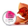 Bálsamo labial bio com protetor solar, 15 ml - Amapola Biocosmetics
