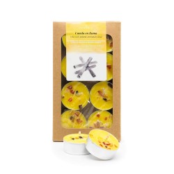Pack de 8 velas de chá perfumadas com óleos essenciais ecológicos, Canela em Rama - CanVela