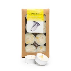 Pack 8 velas de chá perfumadas com óleos essenciais ecológicos, Essência cítrica - CanVela