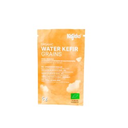 Nódulos desidratados para fazer kéfir de água - Kefirko