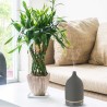 Difusor de cerâmica ultrassónico "Vapor Cinzento" - Serene House