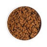 Pienso para gatos esterilizados con pescado sin cereales, 1 kg - Ownat