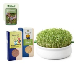 Kit de inicio para germinar en plato, para semillas mucilaginosas y no mucilaginosas - Conasi
