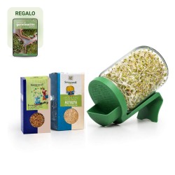 Kit de inicio para germinar en tarro, para semillas no mucilaginosas - Conasi