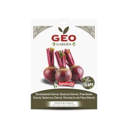 Semillas de remolacha Detroit ecológicas, 6 g - Bavicchi Geo