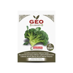 Sementes de brócolos Calabrese precoce orgânicas, 4 g - Bavicchi GEO