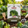 Semillas de brócoli Calabrese temprano ecológicas, 4 g - Bavicchi GEO