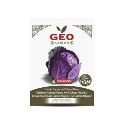 Sementes de couve-roxa orgânicas, 3 g - Bavicchi GEO