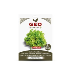 Sementes de alface de folha verde orgânicas, 2 g - Bavicchi GEO