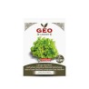 Semillas de lechuga de hoja verde ecológicas, 2 g - Bavicchi GEO