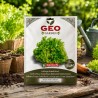 Sementes de alface de folha verde orgânicas, 2 g - Bavicchi GEO