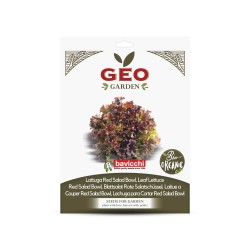 Semillas de lechuga de hoja roja ecológicas, 2 g - Bavicchi GEO