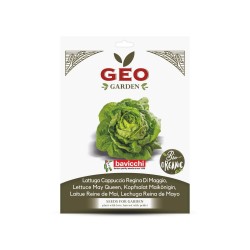 Sementes de alface Rainha de Maio orgânicas, 3 g - Bavicchi GEO