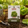 Sementes de alface Rainha de Maio orgânicas, 3 g - Bavicchi GEO