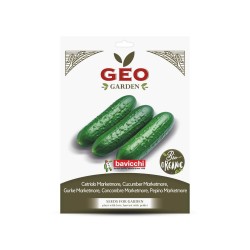 Sementes de pepino Marketmore biológicas, 2 g - Bavicchi GEO