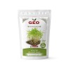 Semillas de eneldo para microgreens ecológicas, 150 g - Bavicchi GEO