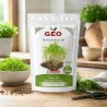 Semillas de eneldo para microgreens ecológicas, 150 g - Bavicchi GEO