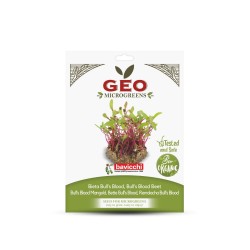 Sementes de beterraba Bull’s Blood para microverdes ecológicos, 15 g - Bavicchi GEO